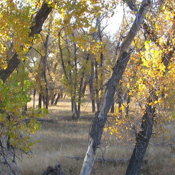 Meet your Posher, Jodee - Picture 1 of 1